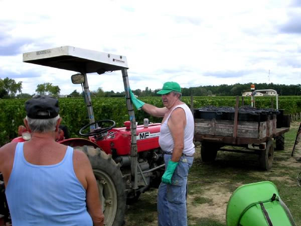 Le tracteur et le vin