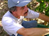 vendanges