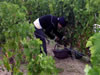 travail